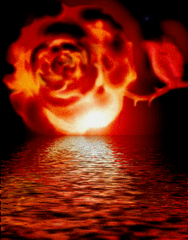 cette rose est pour toi